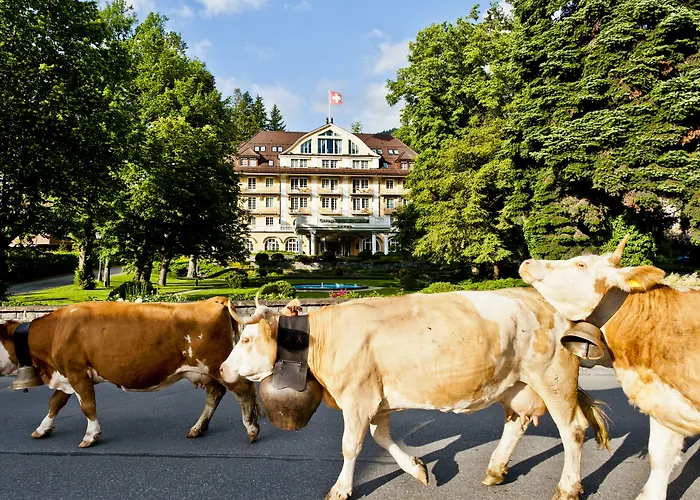 Le Grand Bellevue